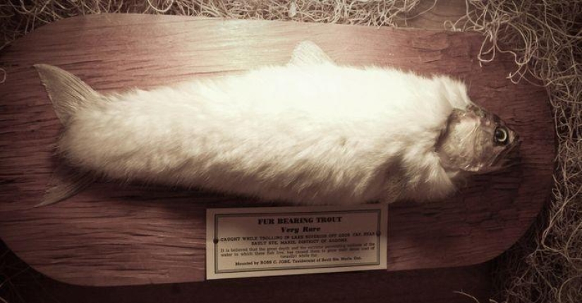 16 hoaxes that have been believed in for a very long time