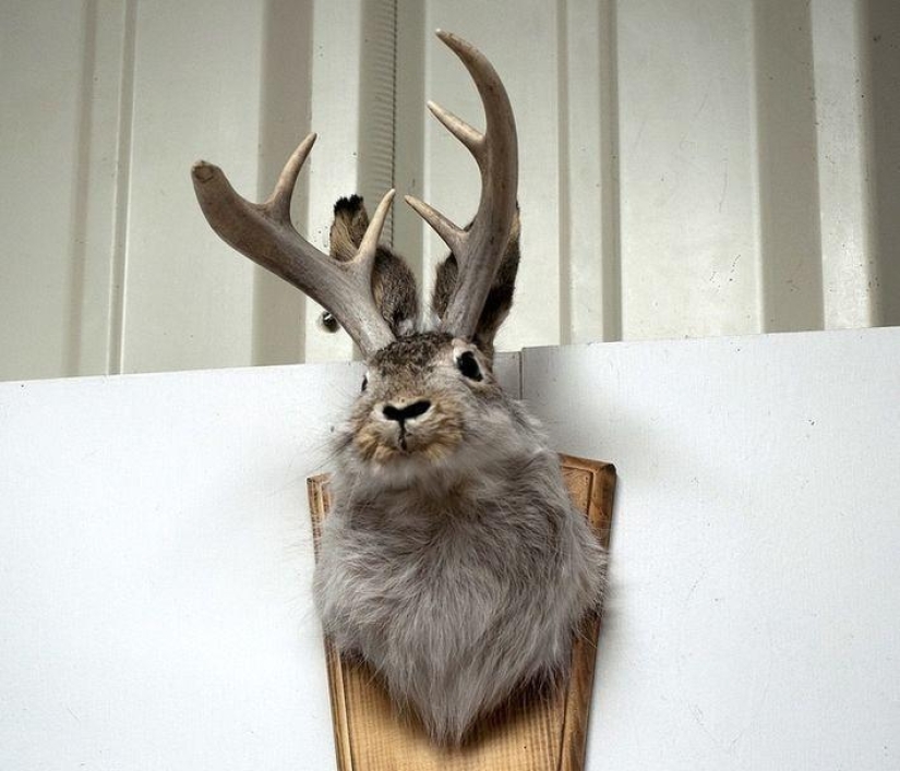 16 hoaxes that have been believed in for a very long time