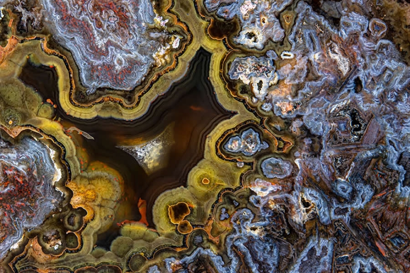 16 Outstanding Nature Winners from the 1839 Photographer of the Year Awards