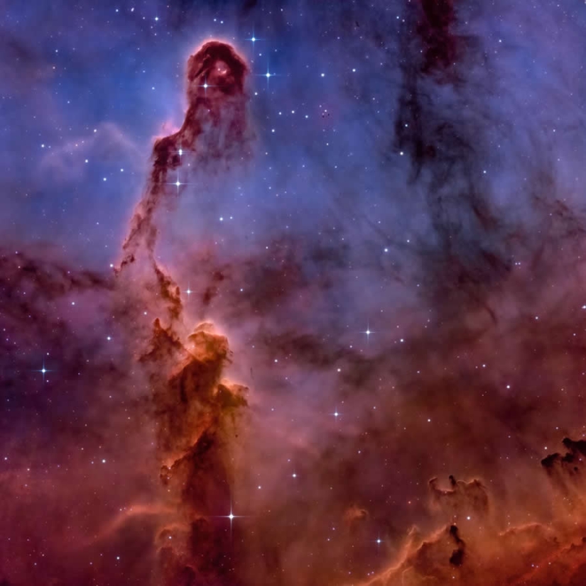 16 Outstanding Nature Winners from the 1839 Photographer of the Year Awards