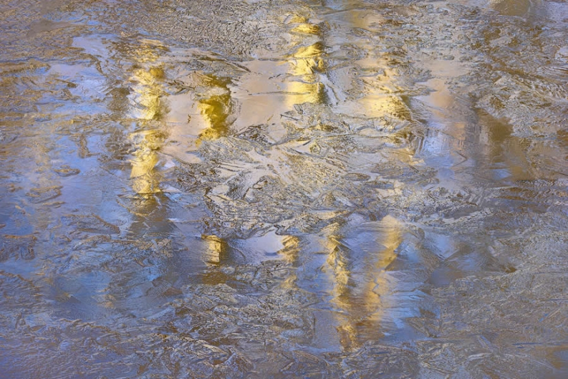 16 Outstanding Nature Winners from the 1839 Photographer of the Year Awards