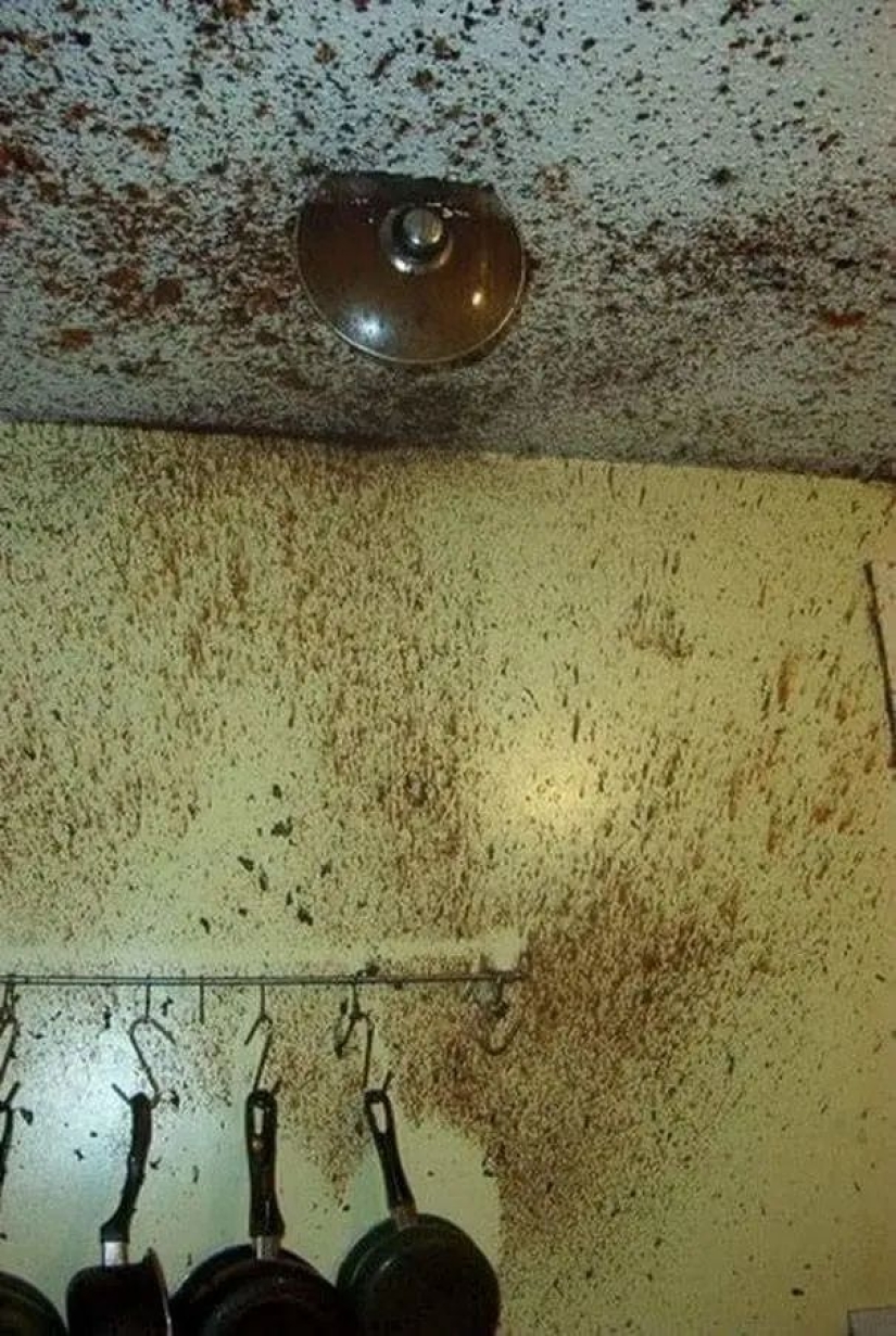 16 personas que necesitan una inhabilitación de por vida para entrar en la cocina 16 personas que necesitan una inhabilitación de por vida para entrar en la cocina