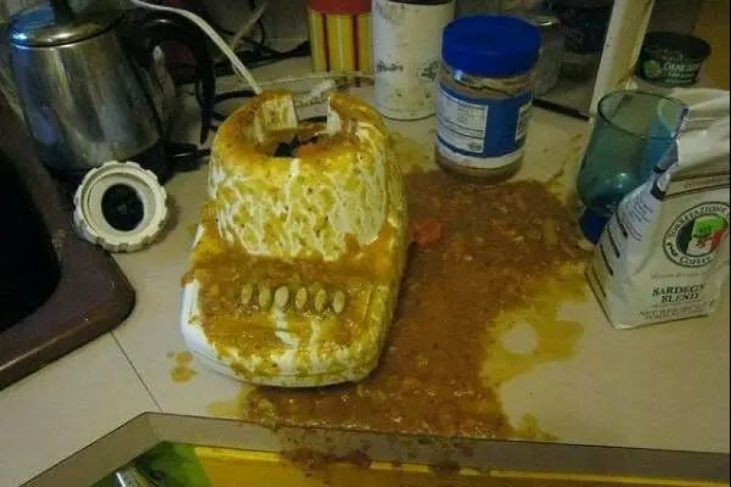 16 personas que necesitan una inhabilitación de por vida para entrar en la cocina 16 personas que necesitan una inhabilitación de por vida para entrar en la cocina