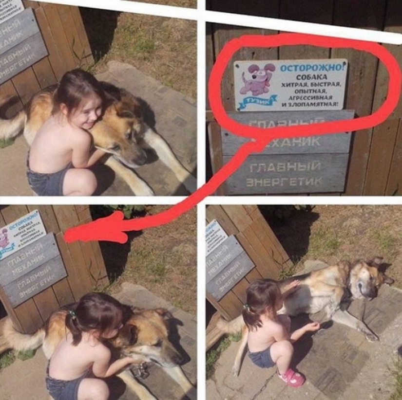 16 signs from the owners with a great sense of humor 16 signs from the owners with a great sense of humor