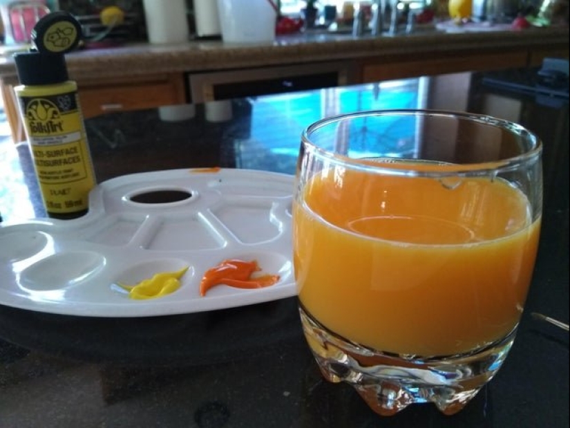 16 things that are very similar to food, but they better not
