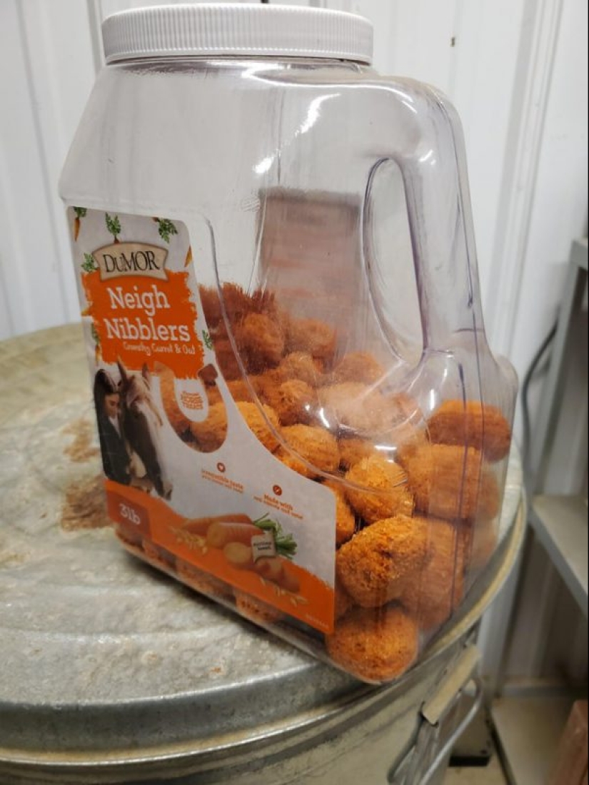 16 things that are very similar to food, but they better not