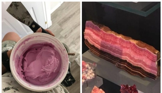 16 things that are very similar to food, but they better not 16 things that are very similar to food, but they better not