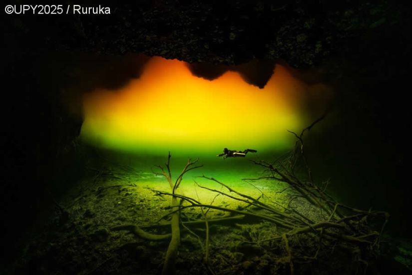 17 Breathtaking Winning Photos from the 2025 Underwater Photographer of the Year