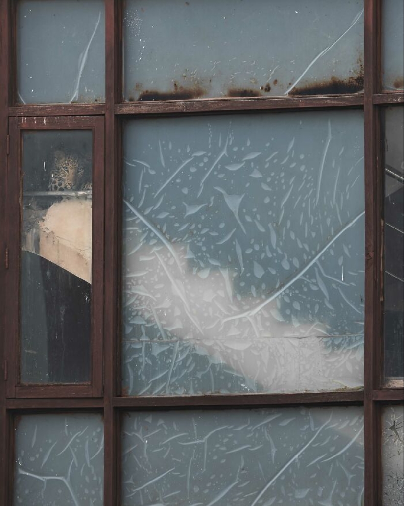 17 de las imágenes más impresionantes del concurso de fotografía Nature “inFocus” de 2024