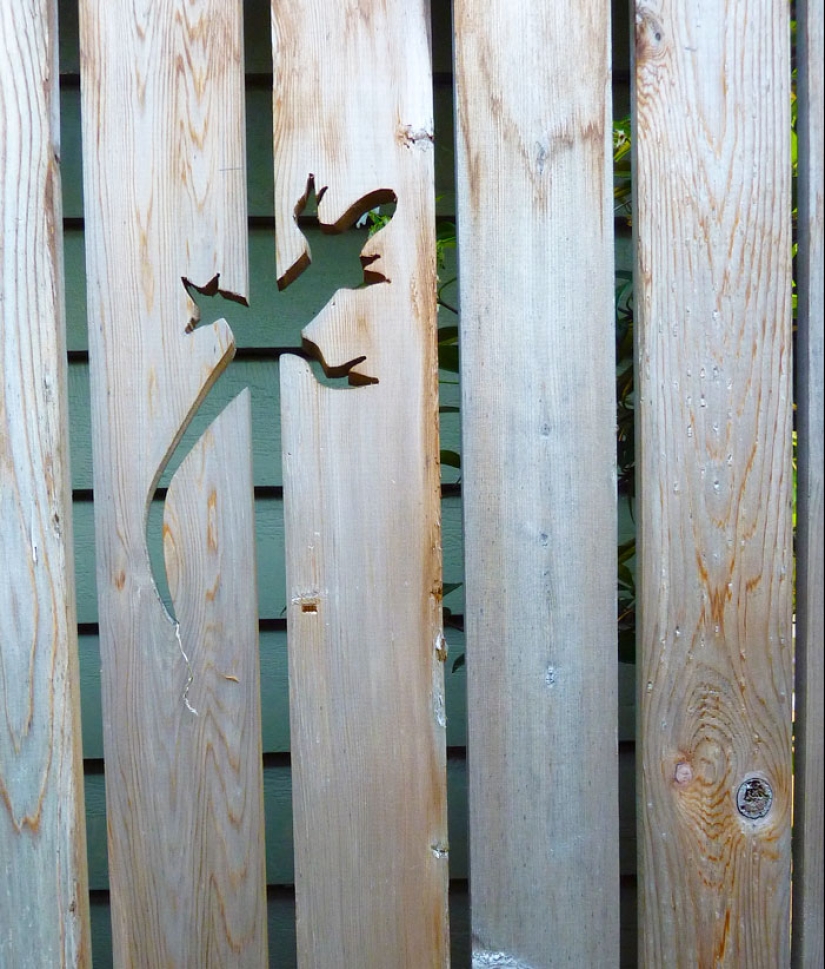 17 examples of how to take the art of fence painting to a new level 17 examples of how to take the art of fence painting to a new level