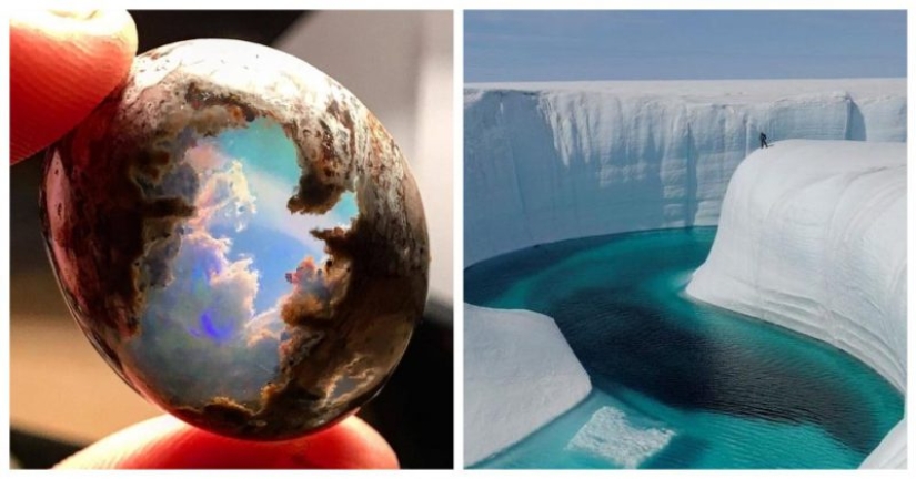 17 fotos de aspecto agradable en las que todo está bien