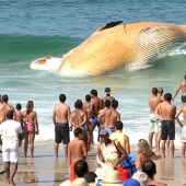 17 photos that blow up the brain without photoshop 17 photos that blow up the brain without photoshop