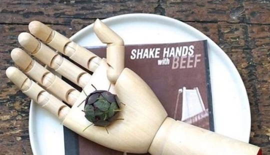 17 platos extraños de los restaurantes Michelin 17 platos extraños de los restaurantes Michelin