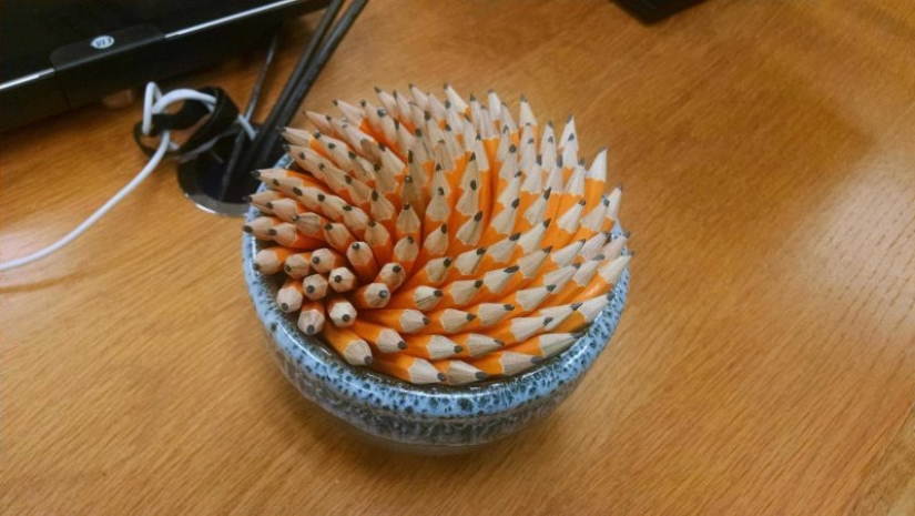 17 pleasant-looking photos in which everything is fine