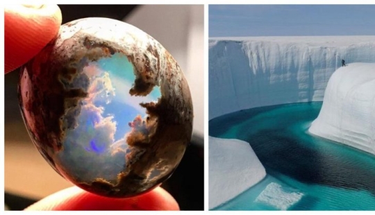 17 pleasant-looking photos in which everything is fine 17 pleasant-looking photos in which everything is fine