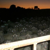 17 real-life shots that look like horror movie stills 17 real-life shots that look like horror movie stills