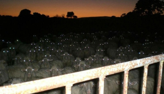 17 real-life shots that look like horror movie stills 17 real-life shots that look like horror movie stills