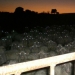 17 real-life shots that look like horror movie stills 17 real-life shots that look like horror movie stills