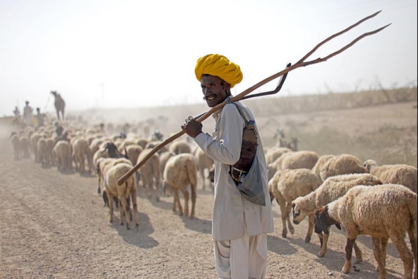 17 Stunning Photographs That Showcase the Uniqueness of India 17 Stunning Photographs That Showcase the Uniqueness of India