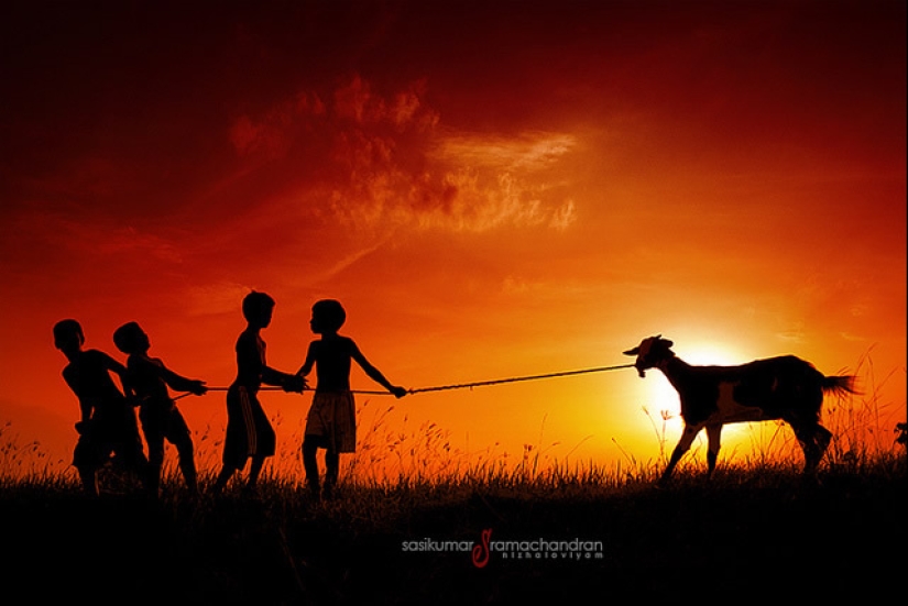 17 Stunning Photographs That Showcase the Uniqueness of India 17 Stunning Photographs That Showcase the Uniqueness of India