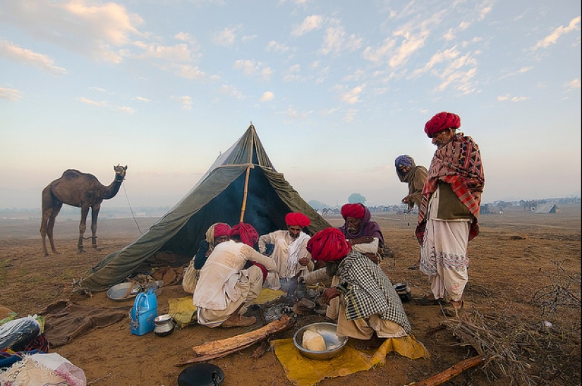 17 Stunning Photographs That Showcase the Uniqueness of India 17 Stunning Photographs That Showcase the Uniqueness of India