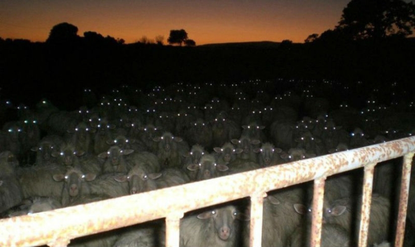 17 tomas de la vida real que parecen fotogramas de películas de terror 17 tomas de la vida real que parecen fotogramas de películas de terror