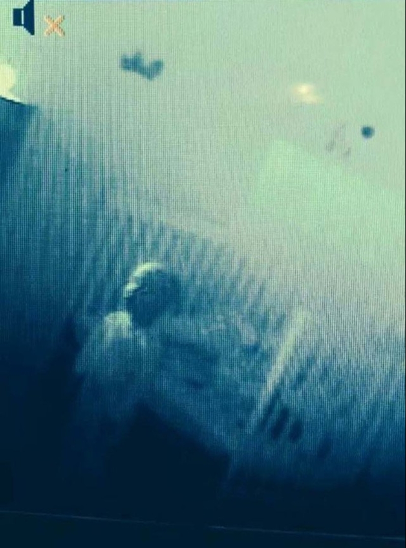 17 tomas de la vida real que parecen fotogramas de películas de terror 17 tomas de la vida real que parecen fotogramas de películas de terror