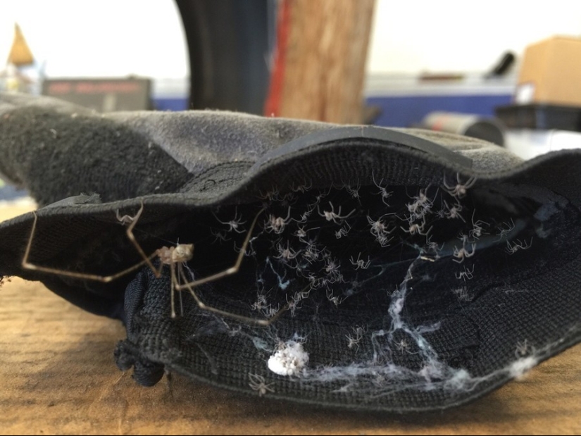 17 tomas de la vida real que parecen fotogramas de películas de terror 17 tomas de la vida real que parecen fotogramas de películas de terror