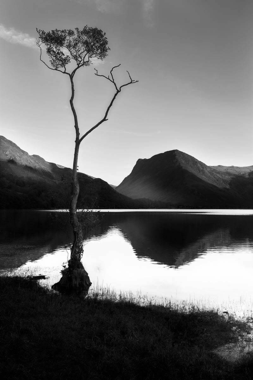 18 Award-Winning Black and White Photos From The Garden Photographer Of The Year