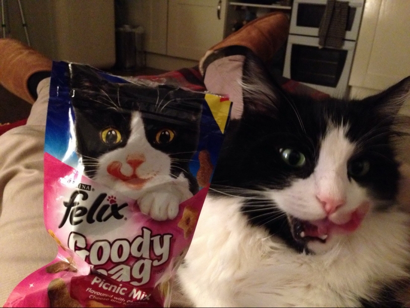 18 divertido coincidencias que están garantizados para levantar el ánimo