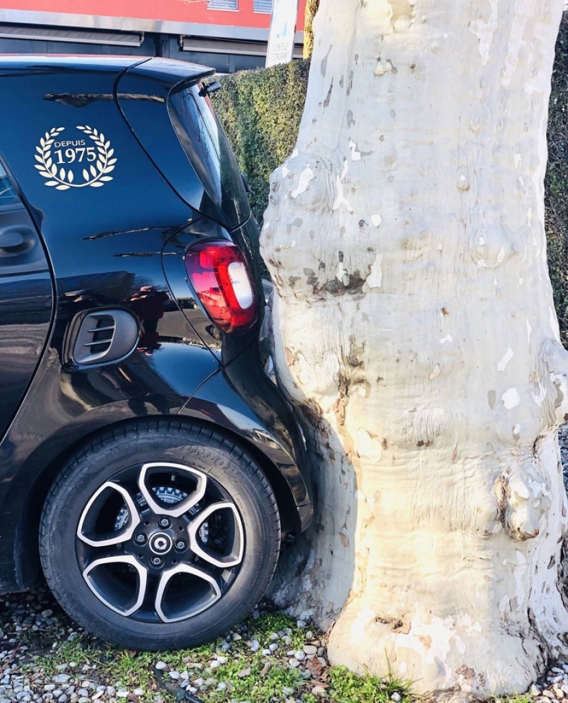 18 divertido coincidencias que están garantizados para levantar el ánimo