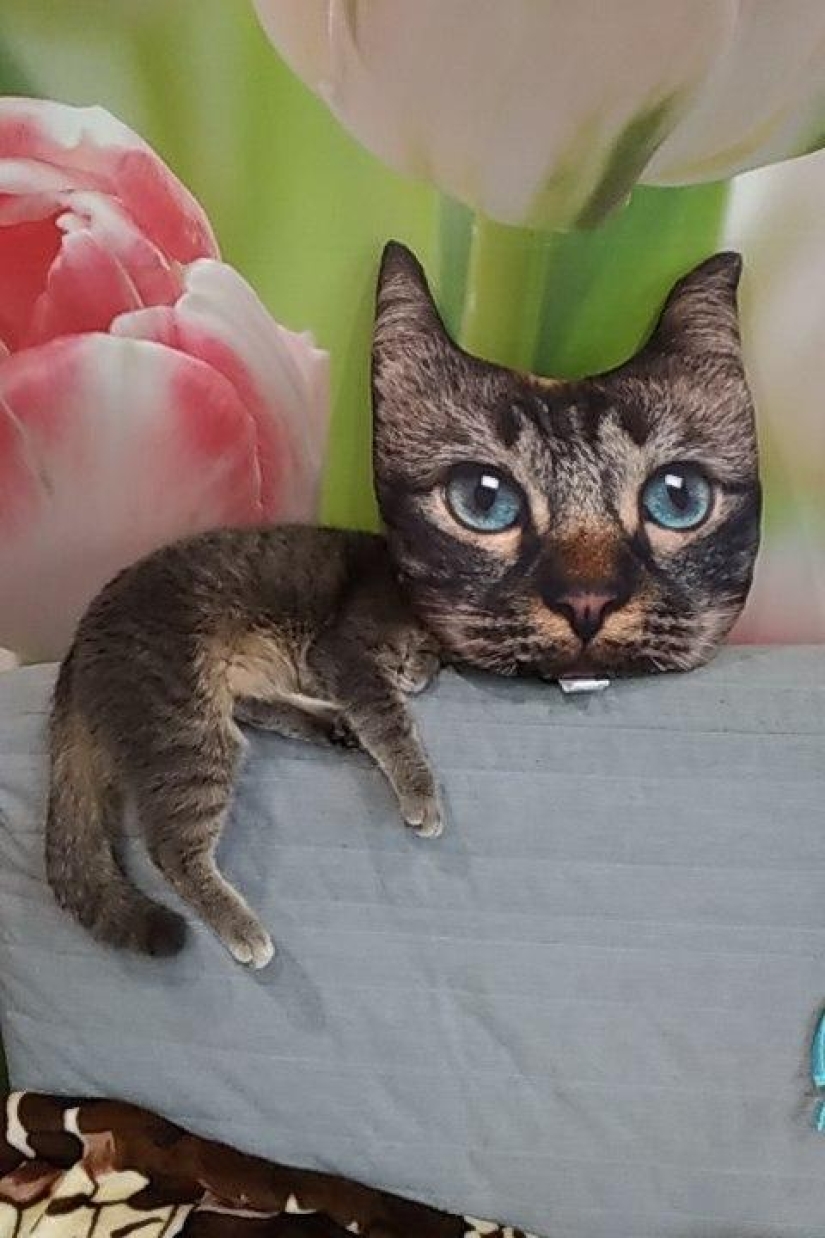 18 divertido coincidencias que están garantizados para levantar el ánimo