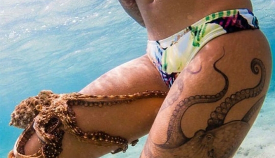 18 fotos donde la vida imita el arte, y no al revés