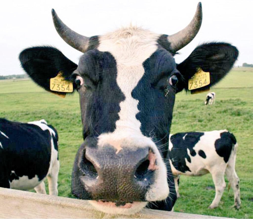 18 funny coincidences that are guaranteed to lift your spirits 18 funny coincidences that are guaranteed to lift your spirits