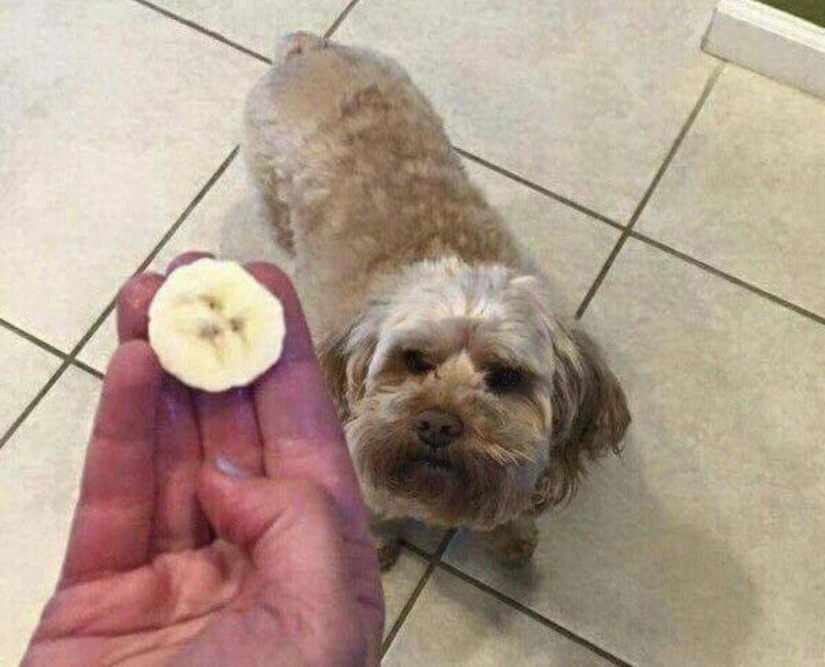 18 funny coincidences that are guaranteed to lift your spirits 18 funny coincidences that are guaranteed to lift your spirits