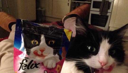 18 funny coincidences that are guaranteed to lift your spirits