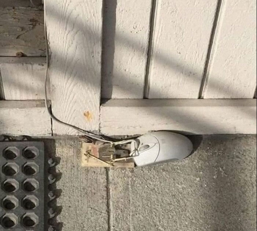 18 imágenes tan extrañas que necesitan a Jesús, compartidas por el grupo en línea “Imágenes extrañas que vale la pena ver”