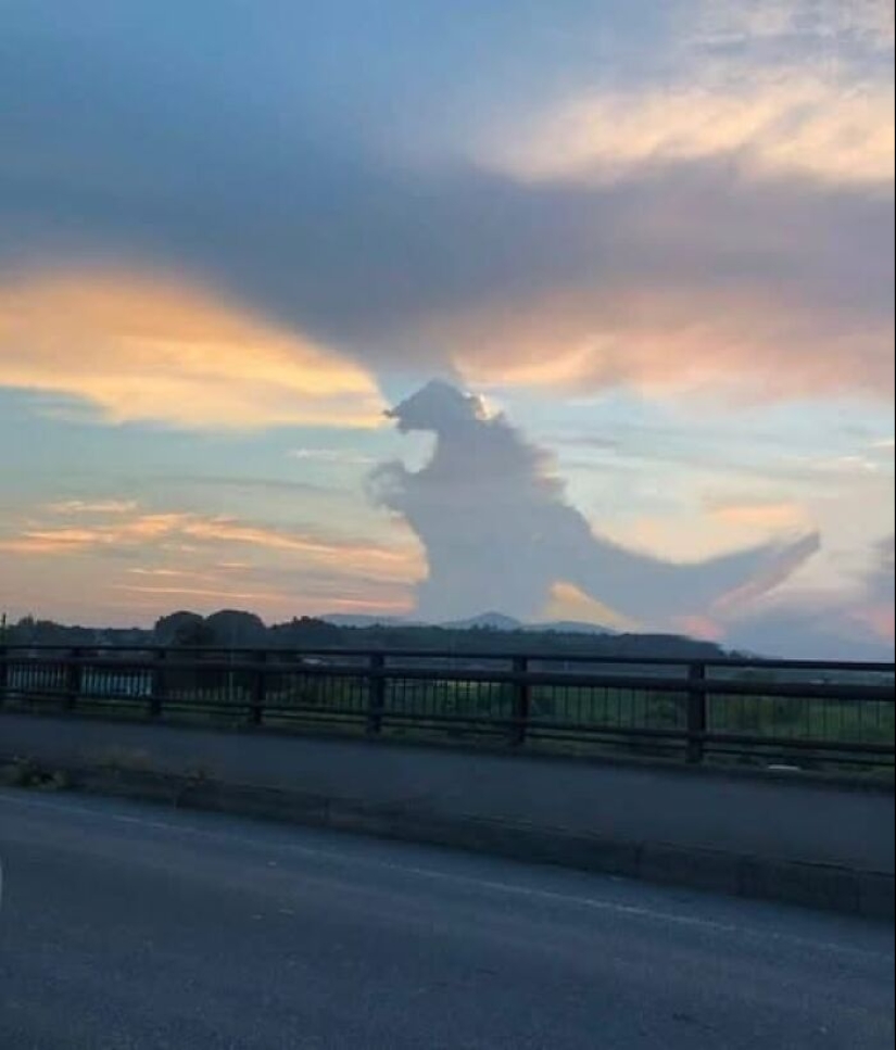 18 imágenes tan extrañas que necesitan a Jesús, compartidas por el grupo en línea “Imágenes extrañas que vale la pena ver”