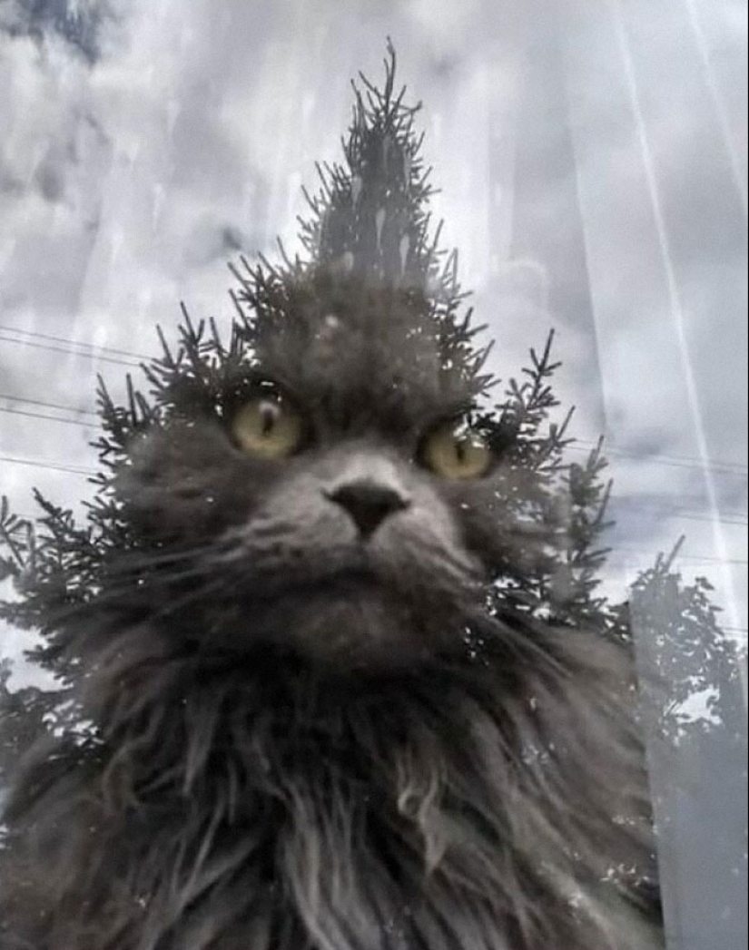 18 imágenes tan extrañas que necesitan a Jesús, compartidas por el grupo en línea “Imágenes extrañas que vale la pena ver”