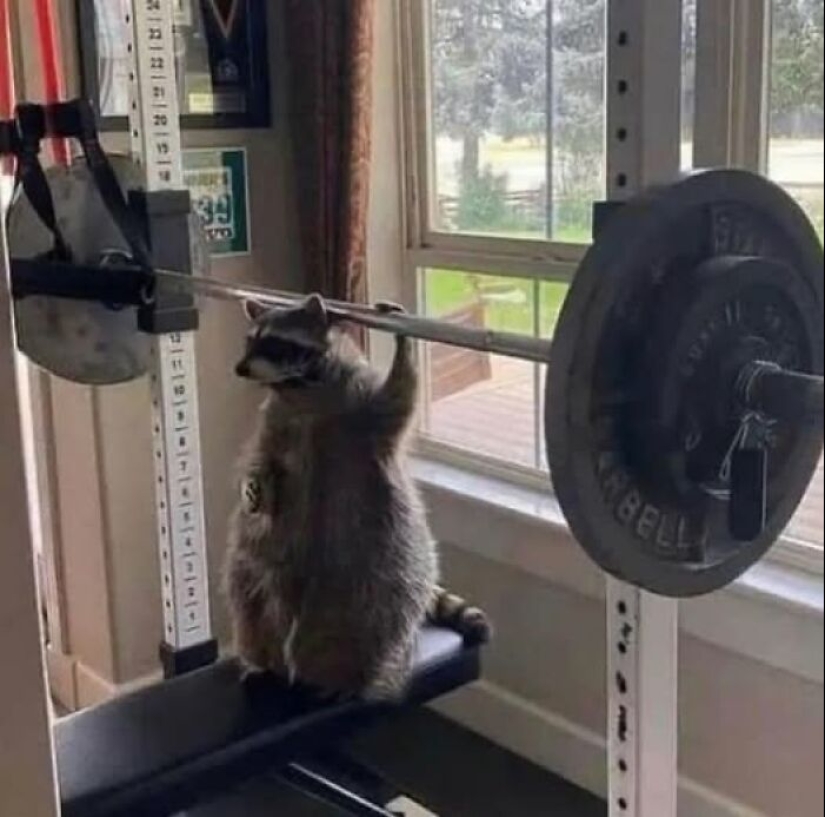 18 imágenes tan extrañas que necesitan a Jesús, compartidas por el grupo en línea “Imágenes extrañas que vale la pena ver”