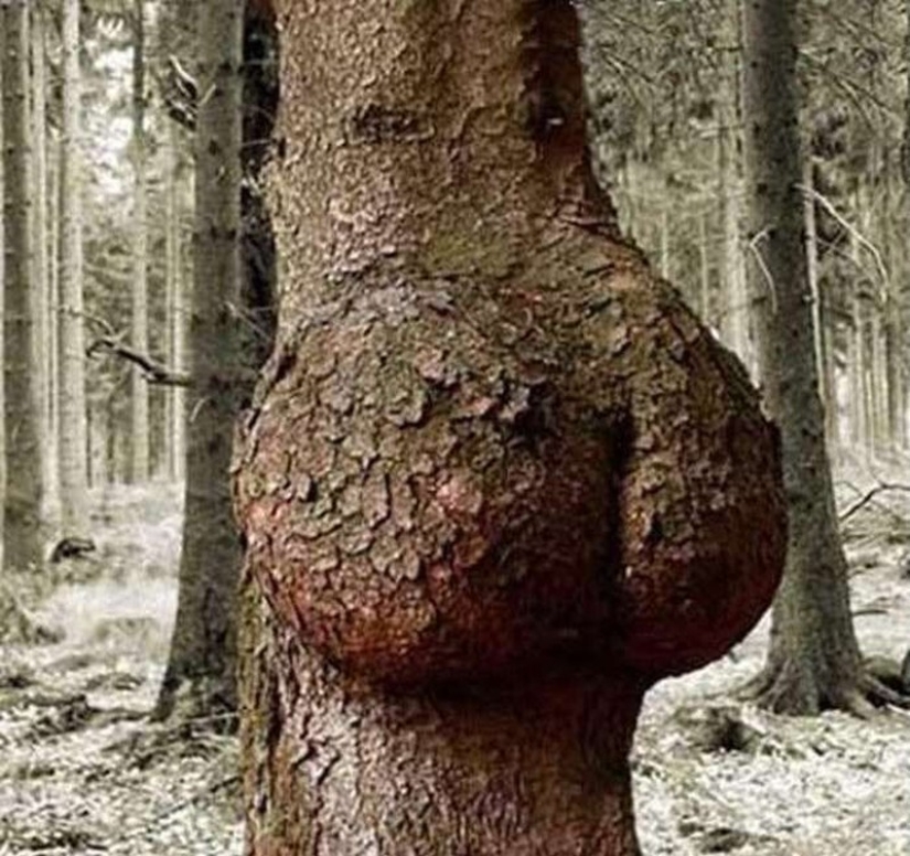 18 of the strangest and most ridiculous sexual deviations 18 of the strangest and most ridiculous sexual deviations
