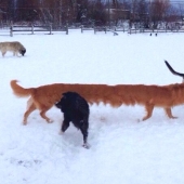 18 panoramic shots with whom something is wrong