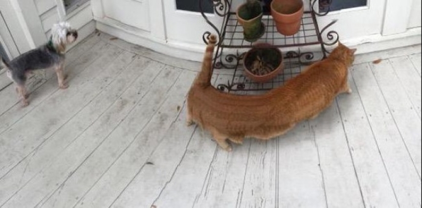 18 panoramic shots with whom something is wrong