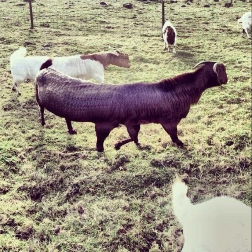 18 panoramic shots with whom something is wrong