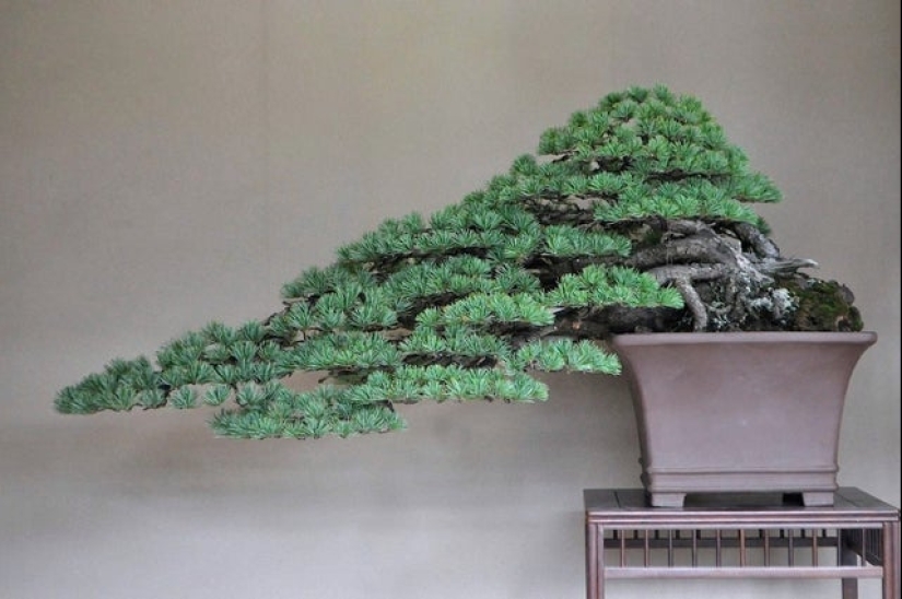 18 photos that will give you visual pleasure 18 photos that will give you visual pleasure