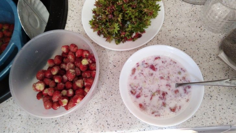 18 productos con los que todo niño soñaba en los años 90 18 productos con los que todo niño soñaba en los años 90