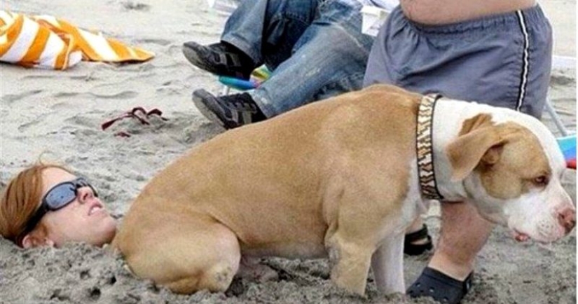 18 situations when everything went wrong, as desired 18 situations when everything went wrong, as desired