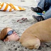 18 situations when everything went wrong, as desired