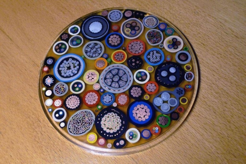 18 things cut in half