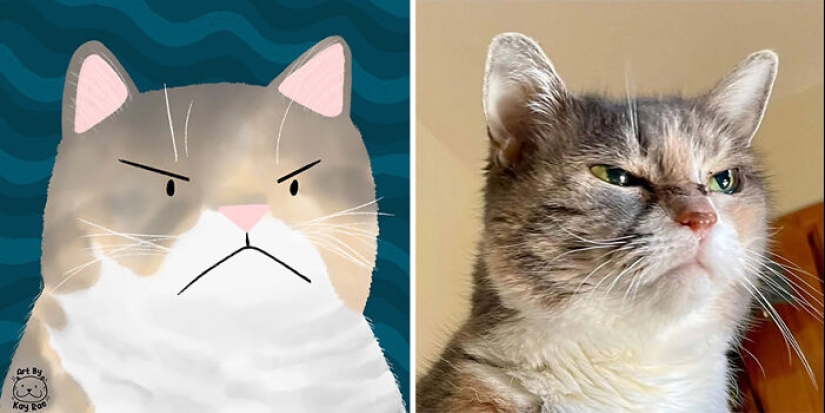 20 Adorable And Hilarious Animal Photos Drawn By This Artist